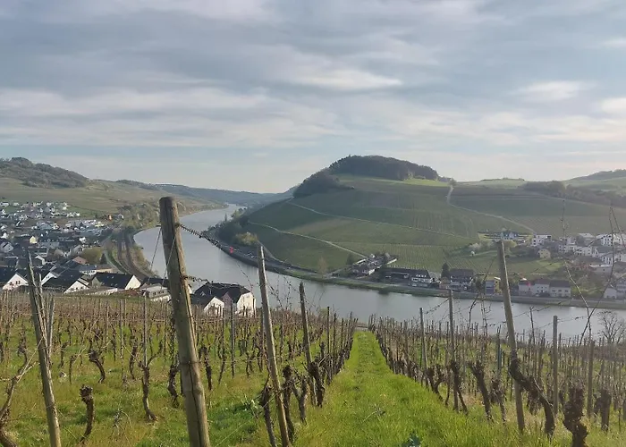 Beyond Alojamento de Acomodação e Pequeno-almoço 3*